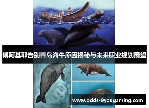 博阿基耶告别青岛海牛原因揭秘与未来职业规划展望