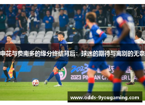 申花与费南多的缘分终结背后：球迷的期待与离别的无奈