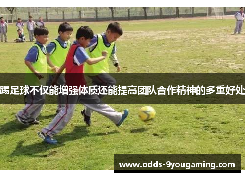 踢足球不仅能增强体质还能提高团队合作精神的多重好处