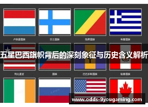 五星巴西旗帜背后的深刻象征与历史含义解析