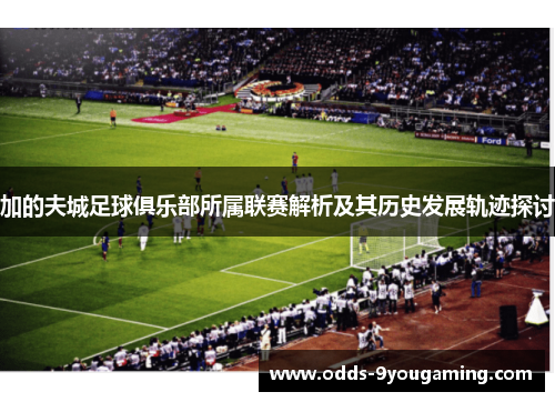 加的夫城足球俱乐部所属联赛解析及其历史发展轨迹探讨 加的夫城足球俱乐部所属联赛解析及其历史发展轨迹探讨