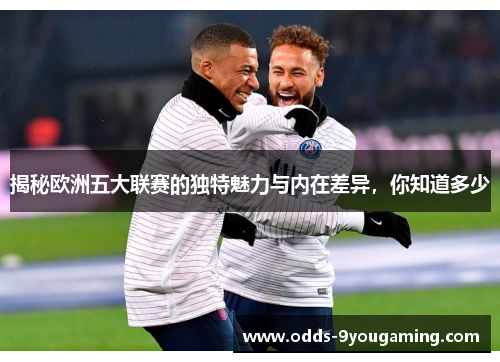 揭秘欧洲五大联赛的独特魅力与内在差异,你知道多少 揭秘欧洲五大联赛的独特魅力与内在差异,你知道多少