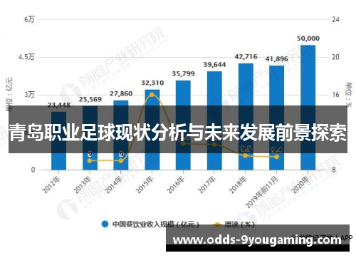 青岛职业足球现状分析与未来发展前景探索