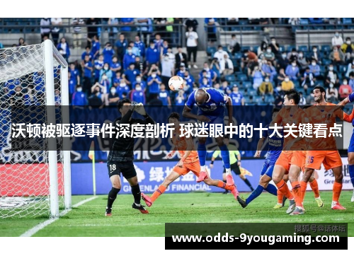 沃顿被驱逐事件深度剖析 球迷眼中的十大关键看点