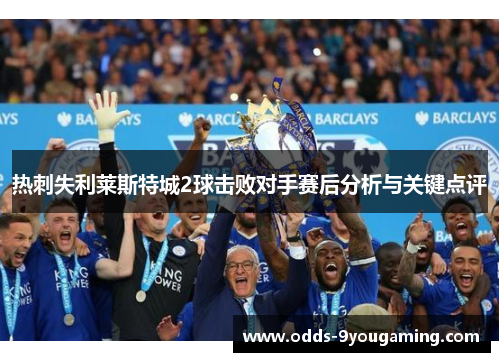 热刺失利莱斯特城2球击败对手赛后分析与关键点评