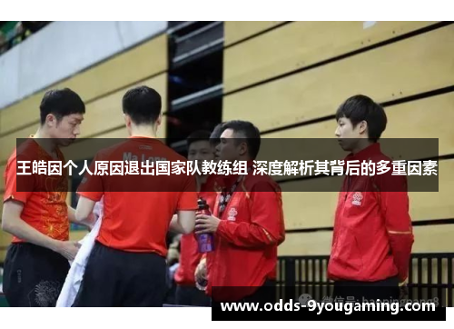 王皓因个人原因退出国家队教练组 深度解析其背后的多重因素